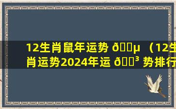 12生肖鼠年运势 🐵 （12生肖运势2024年运 🌳 势排行榜）